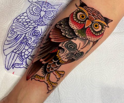 Traditional style owl tattoo